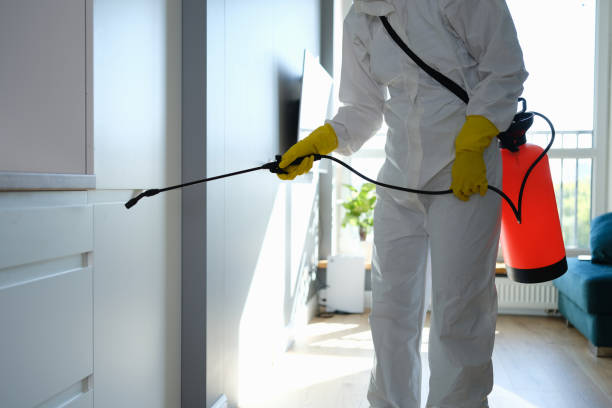 Best DIY Mold Remediation Support Services in Toppers, OK