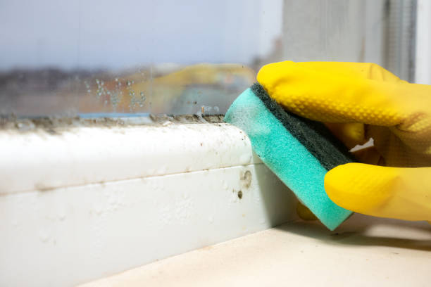 Best Mold Testing and Inspection Services in Toppers, OK