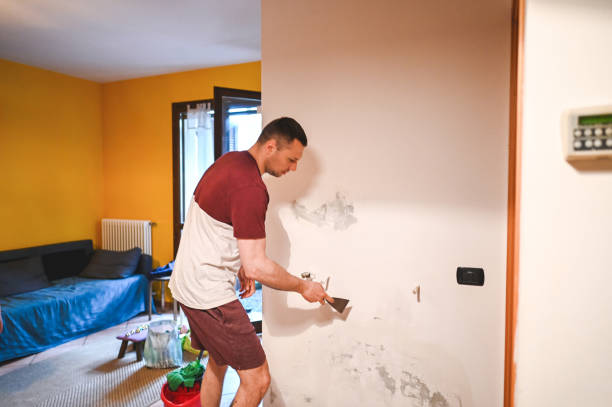 Best Basement Mold Remediation in Toppers, OK
