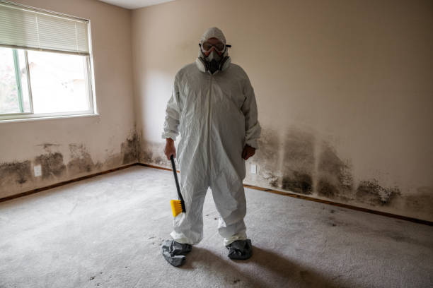 Best Residential Mold Remediation in Toppers, OK